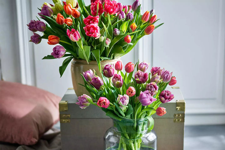 Flowers: The Perfect Gift for Any Occasion