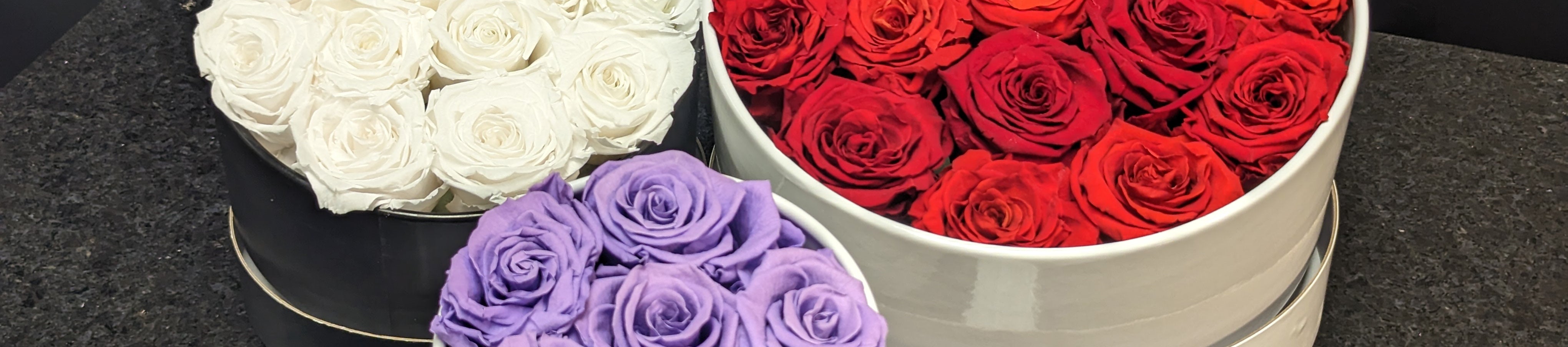 Eternal Roses Ottawa Flowers Inc.