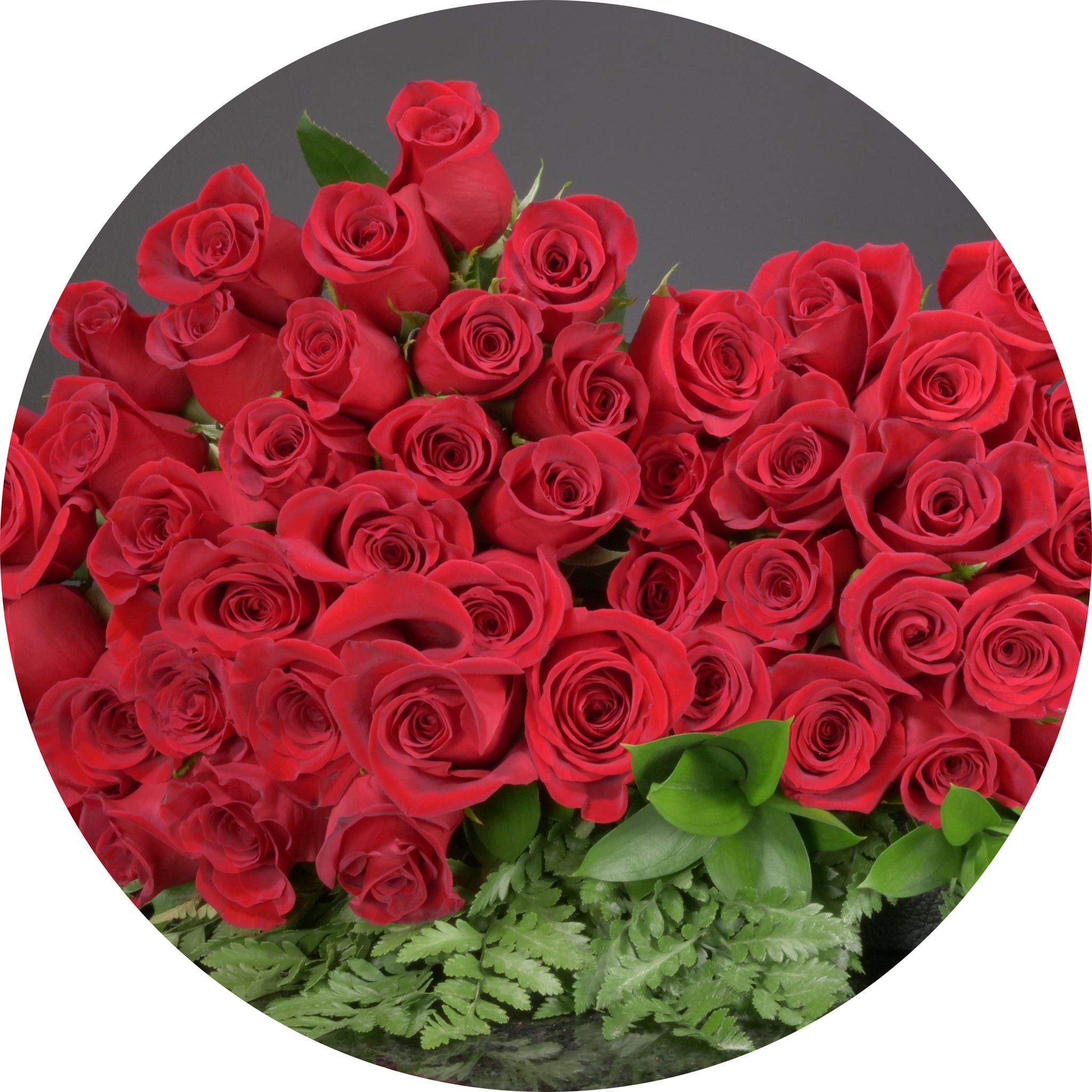RED-GROUP_12195901-e422-4d61-