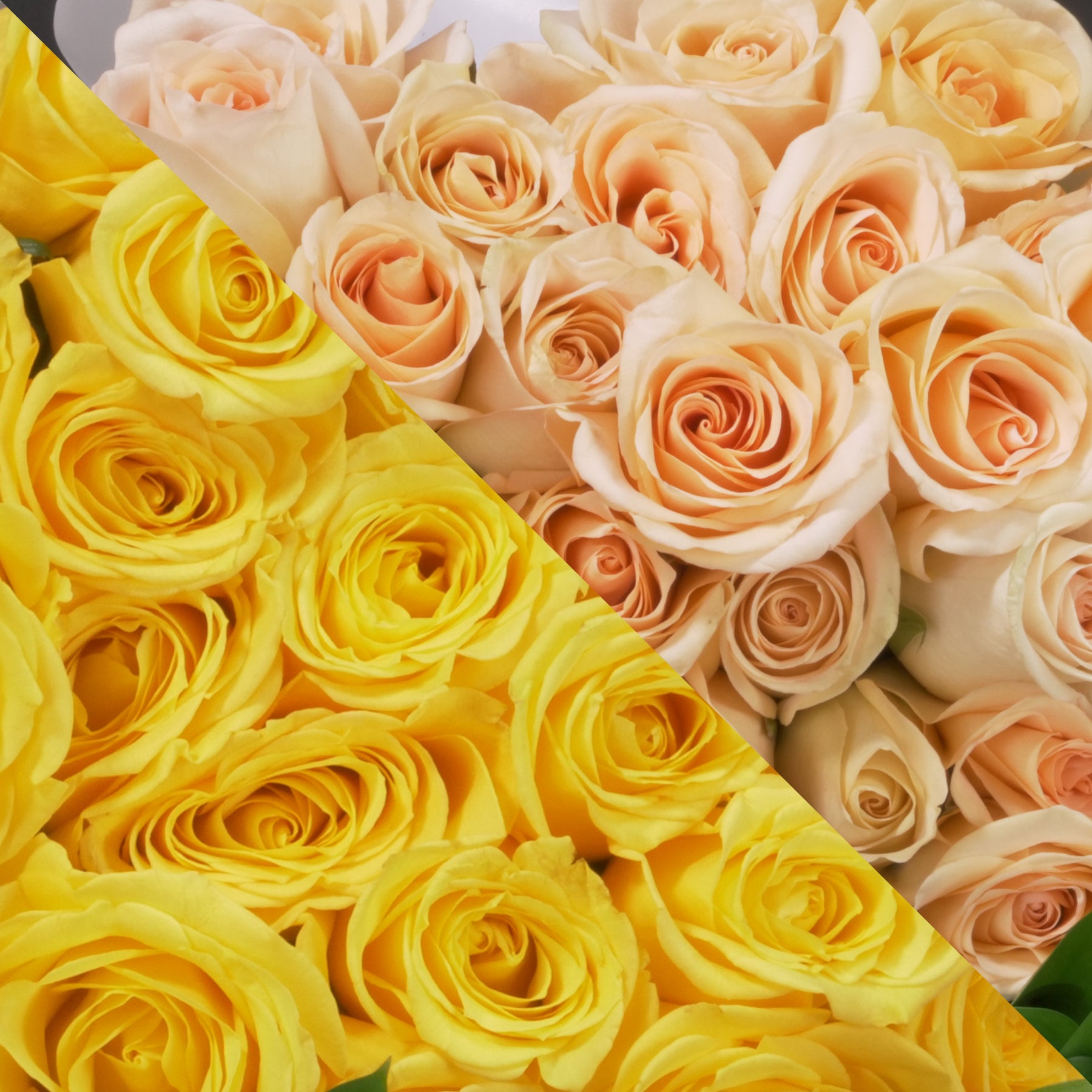 Yellow & Peach Roses Ottawa Flowers Inc.