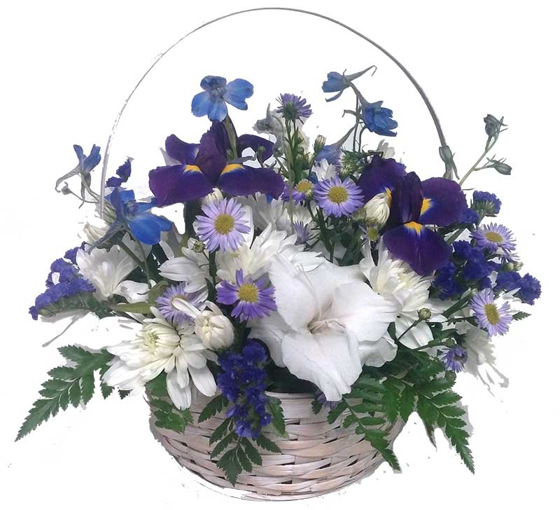 Blue Purple Touch Ottawa Flowers Inc.