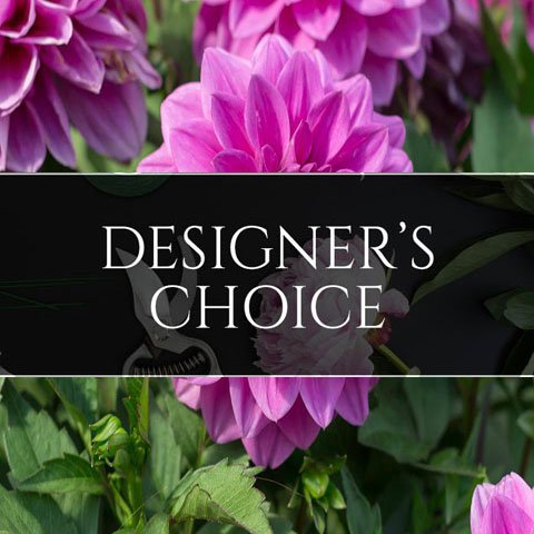 Designer's Choice Blooming Plant – Ottawa Flowers Inc.