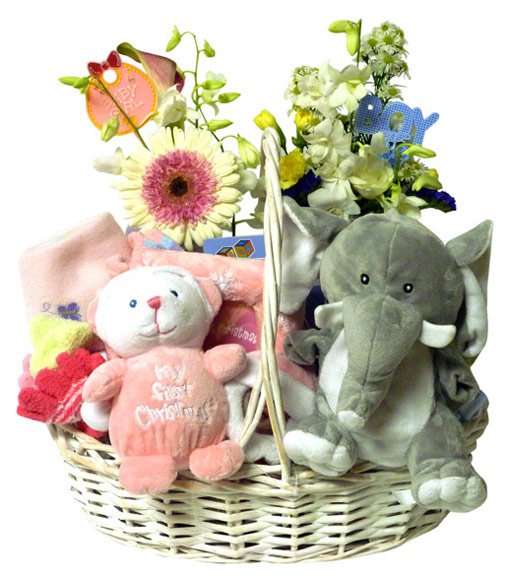 A Bundle of Joy Basket Ottawa Flowers Inc.