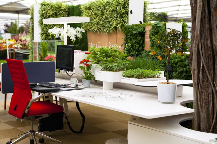 Benefits of Flowers & Plants to Your Office