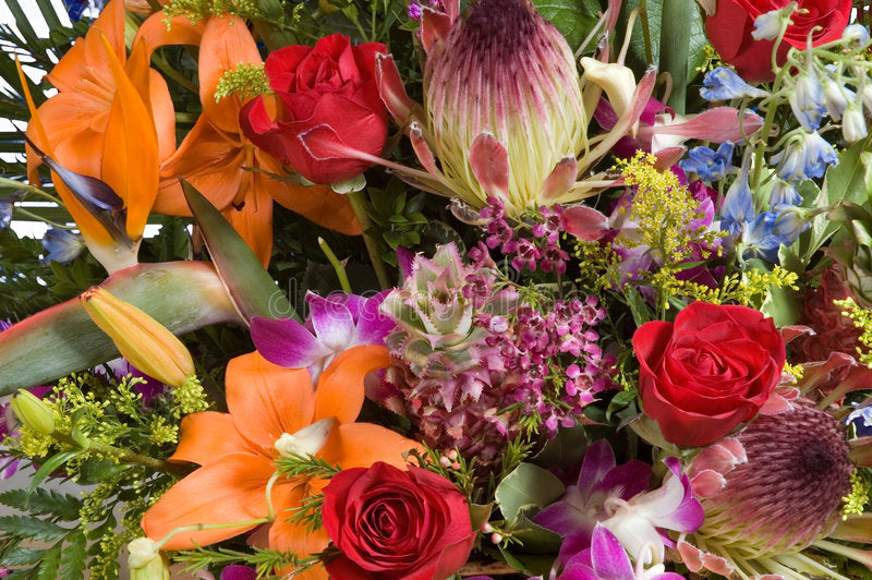 How to create a vibrant and exotic flower arrangement to make a statem