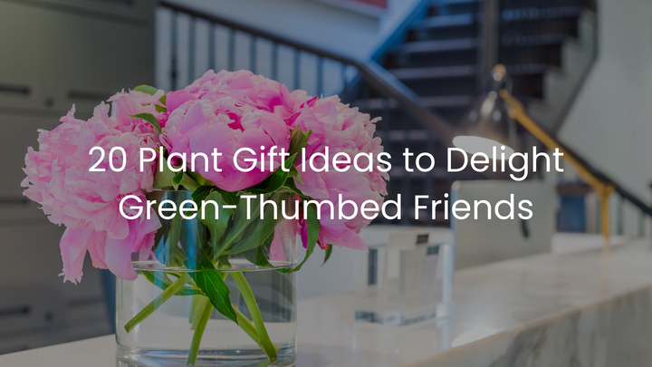 20 Plant Gift Ideas to Delight Green-Thumbed Friends