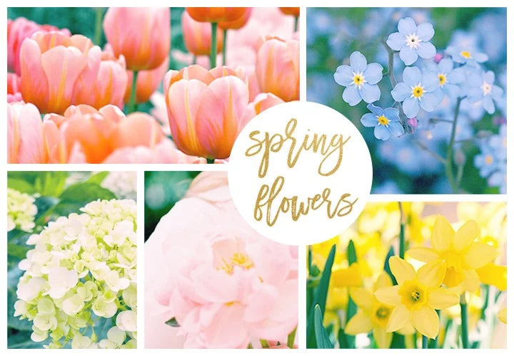 Springtime Spring Flowers Springtime Flowers – Ottawa Flowers Inc.