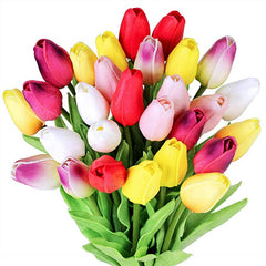 Tulips