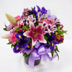 Purple & Pink