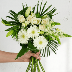 White & Green