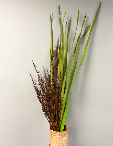 Green Dried Decorative Tall Grasses
