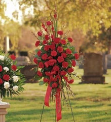 Red Regards Spray