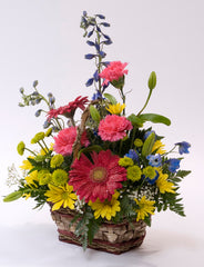 A Colorful Garden