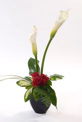Romance in Bloom