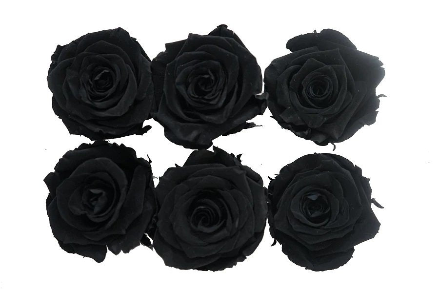 Black Eternal Roses