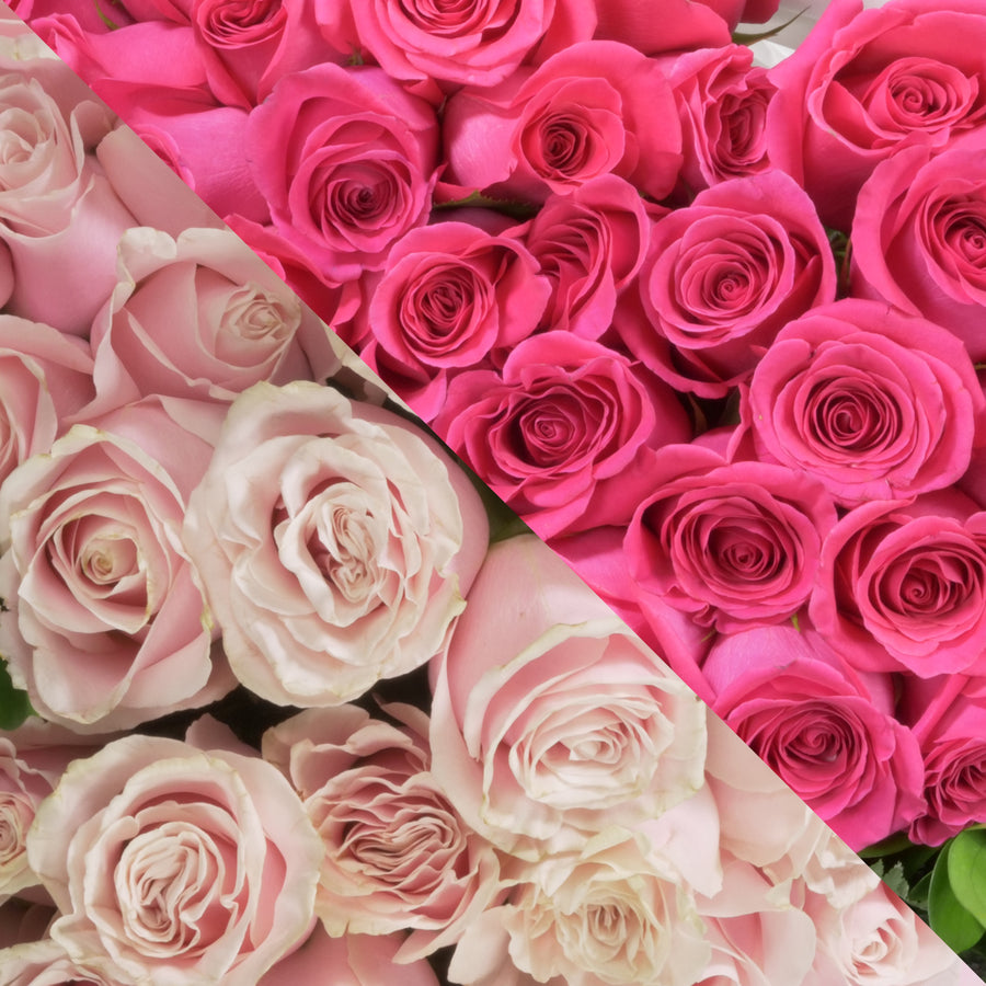 Blush Pink & Hot Pink Roses