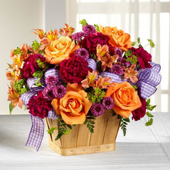  New Dream Basket