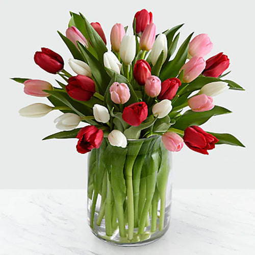 30 White, Pink and Red Tulips in a Vase