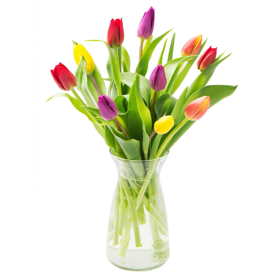 10 Mixed Tulips