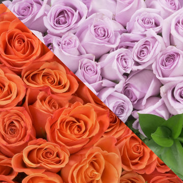 Orange & Lavender Roses