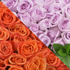 Orange & Lavender Roses