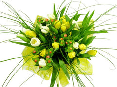 B-Tulips & Berries