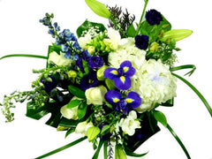 Purple & white