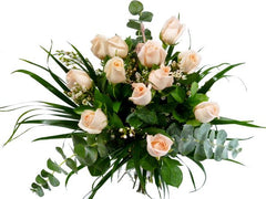 12 Peach Roses