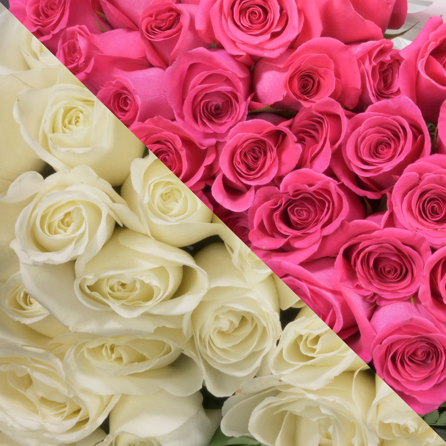 Sweet Memory' Pink Roses The Rosarium - Premium Flower Delivery Vaughan  Toronto Thornhill Mississauga