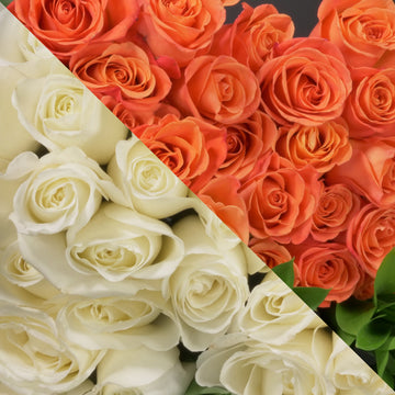 White & Orange Roses