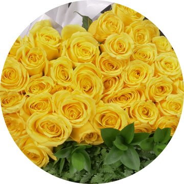 Yellow  Roses