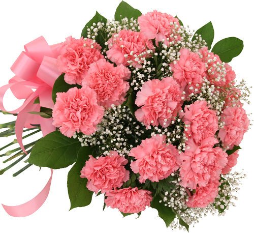 18 Pink Carnations Bouquet