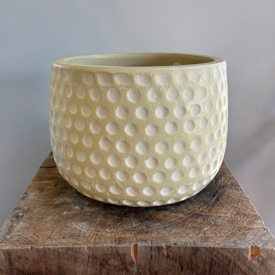 Medium Beige Dot Ceramic Pot 7.5in