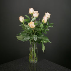 6 Roses / Vase / Basic