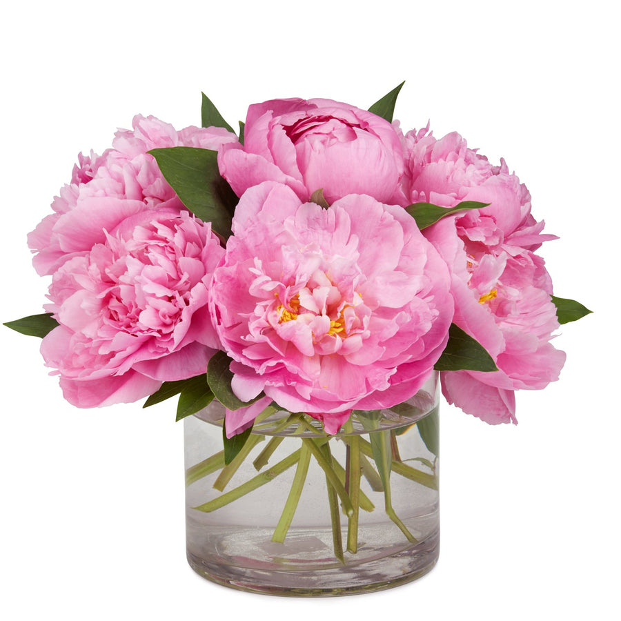 Pink Peonies in a vase