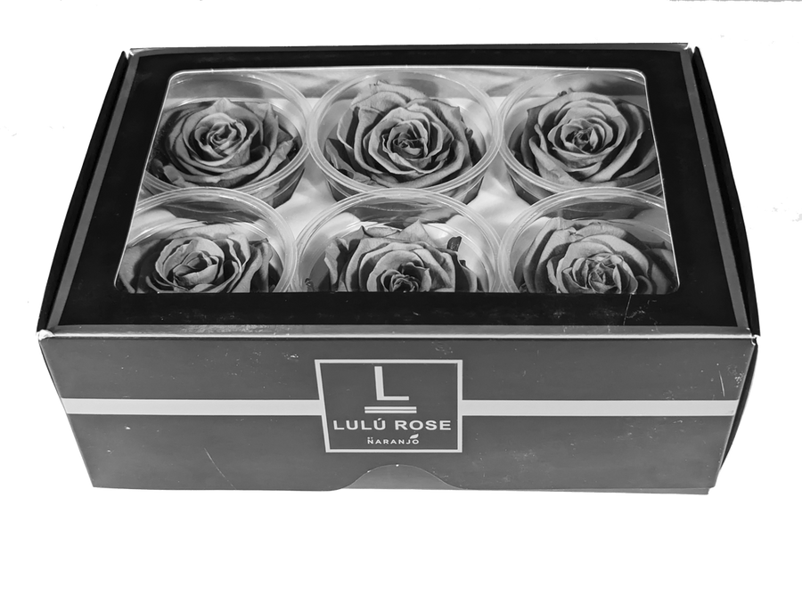 Eternal Roses Negro Black Eternal Roses – Ottawa Flowers Inc.