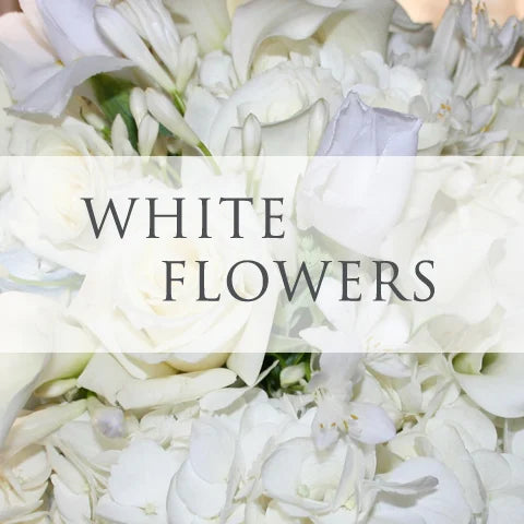 White Flowers - Subscription